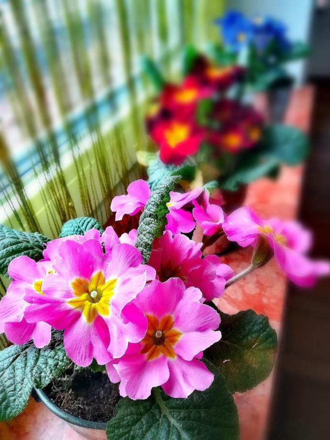Gaestehaus Anna グロースアルル エクステリア 写真